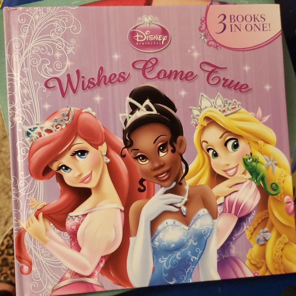 Princess book bundle - Picture 5 of 6